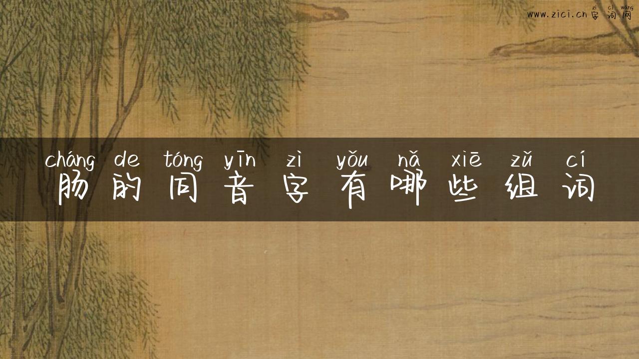 肠的同音字有哪些组词