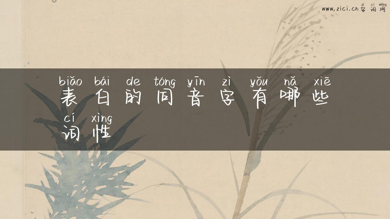 表白的同音字有哪些词性