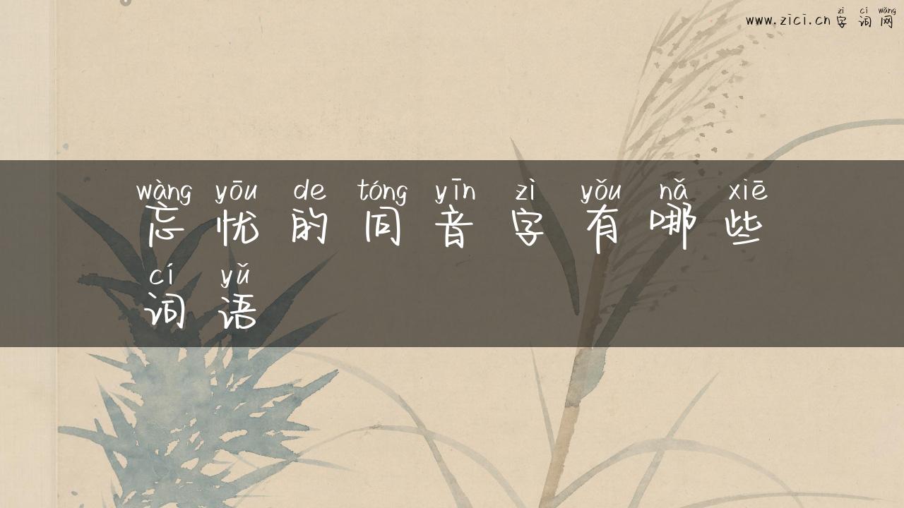 忘忧的同音字有哪些词语