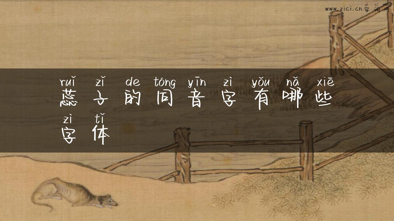 蕊子的同音字有哪些字体