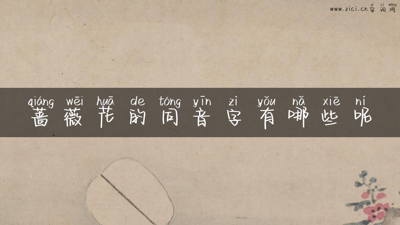 蔷薇花的同音字有哪些呢