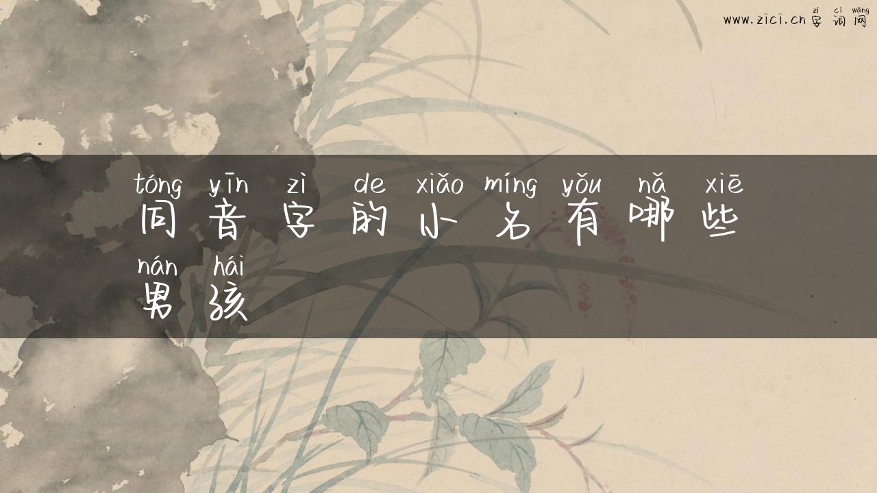 同音字的小名有哪些男孩