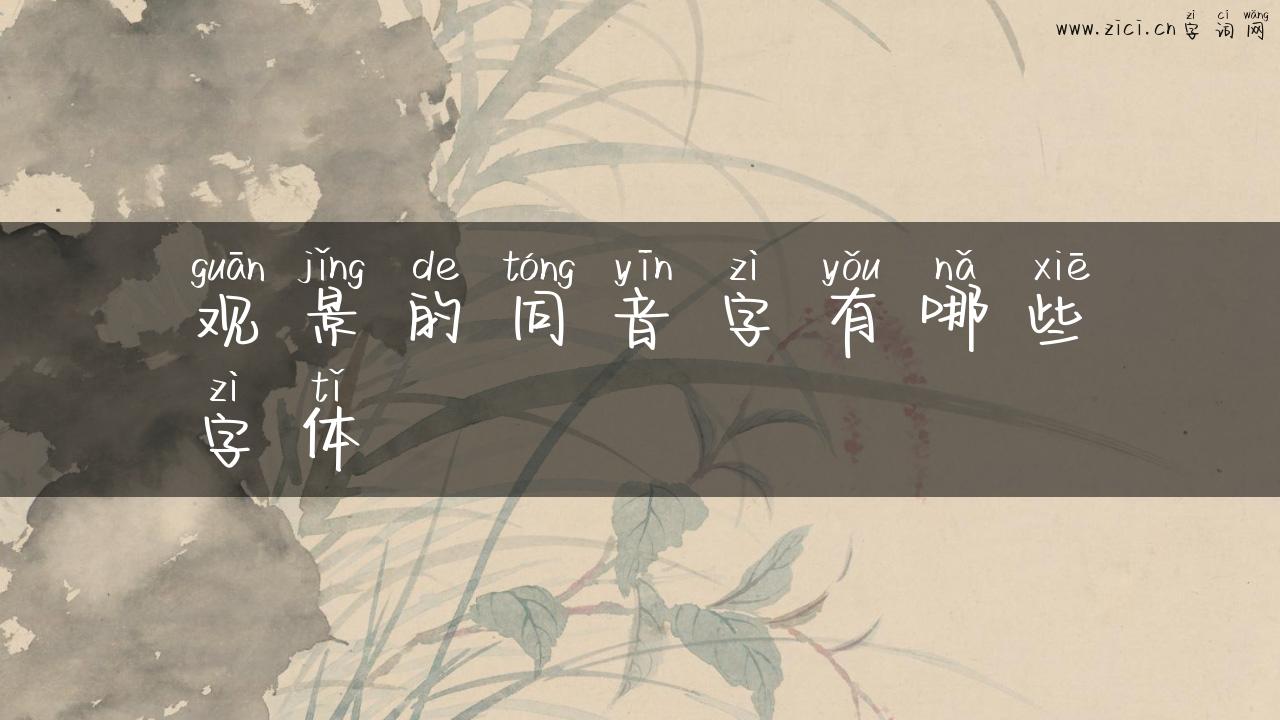 观景的同音字有哪些字体