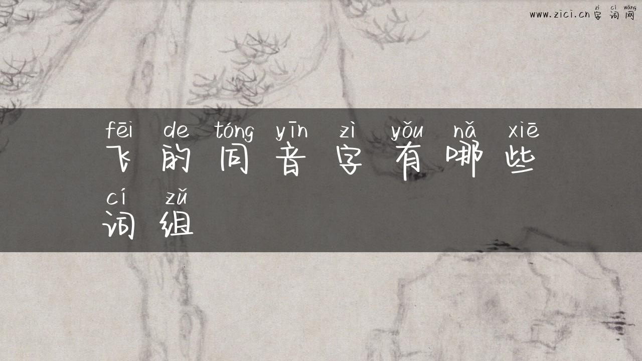 飞的同音字有哪些词组