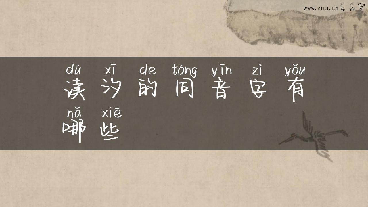 读汐的同音字有哪些