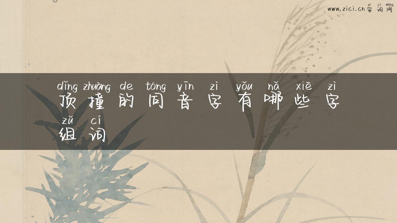 顶撞的同音字有哪些字组词