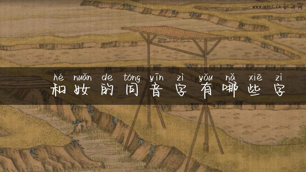 娚和奻的同音字有哪些字