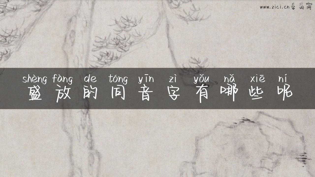 盛放的同音字有哪些呢