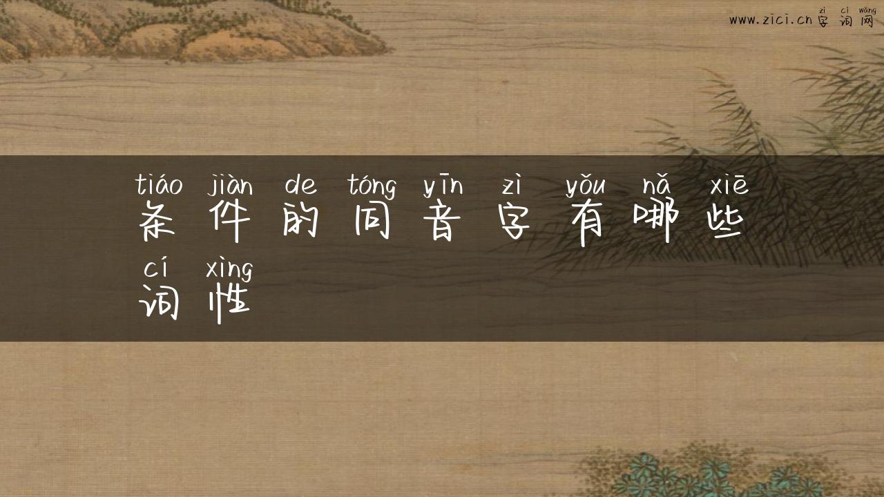 条件的同音字有哪些词性