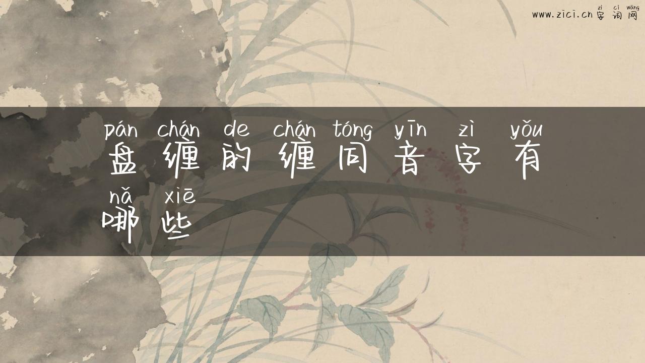盘缠的缠同音字有哪些