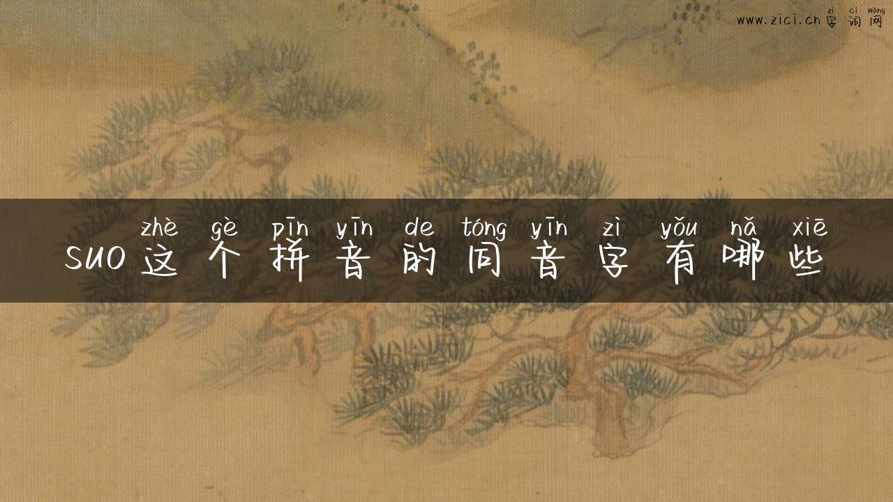 suo这个拼音的同音字有哪些