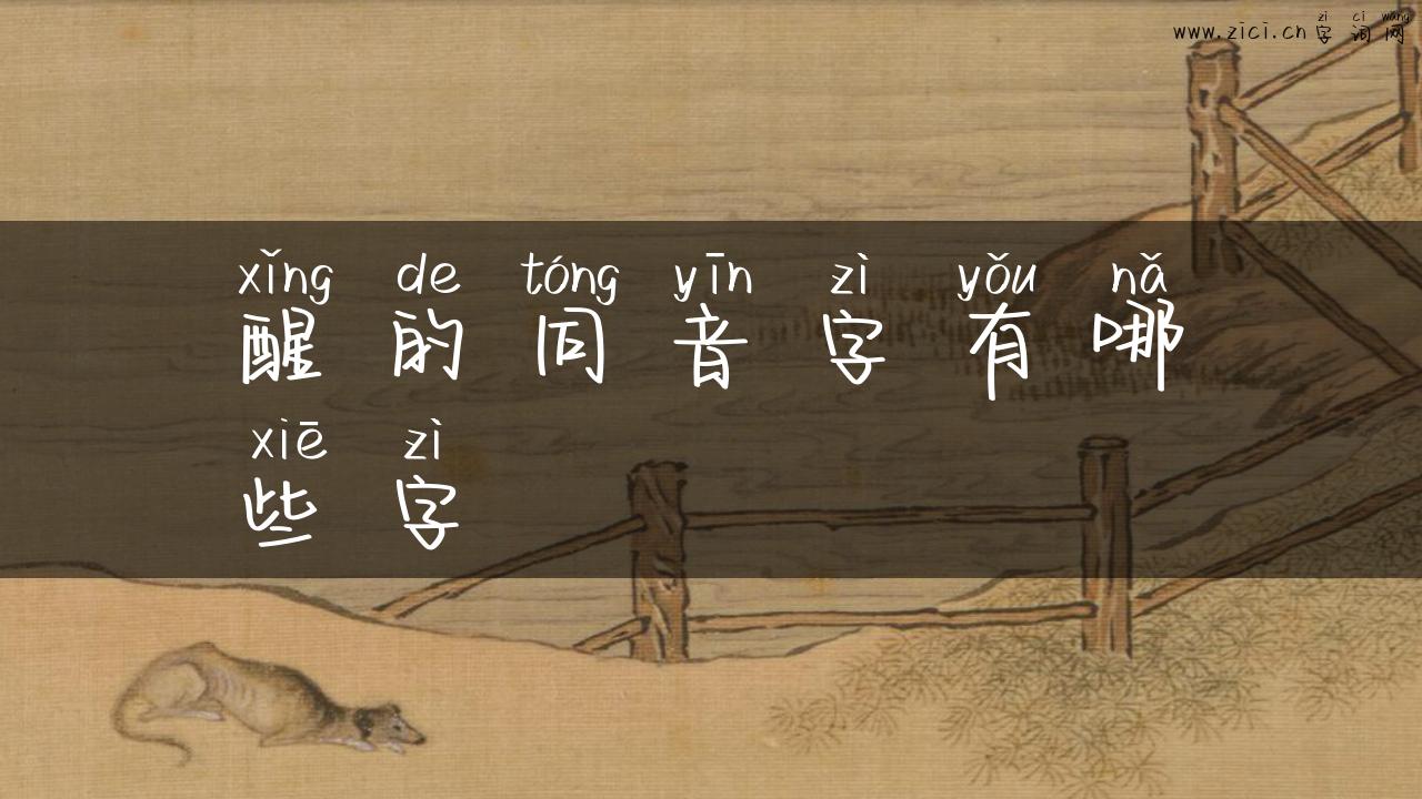 醒的同音字有哪些字
