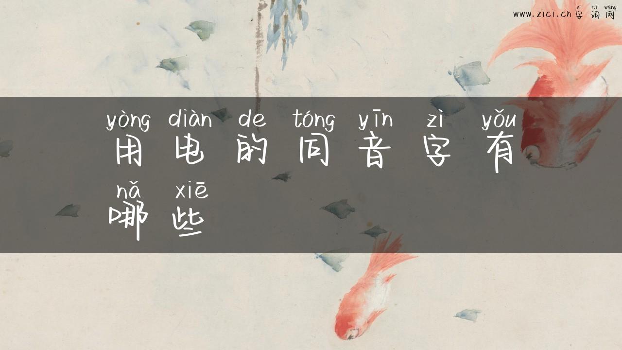 用电的同音字有哪些