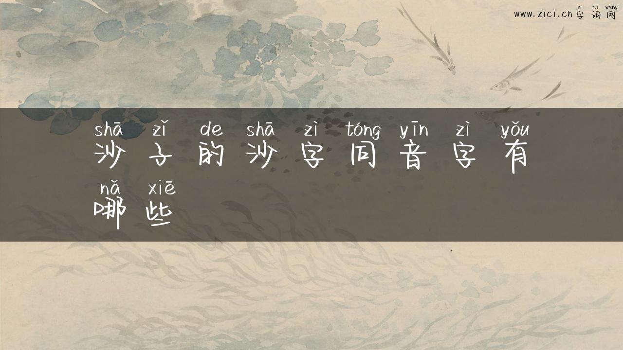 沙子的沙字同音字有哪些