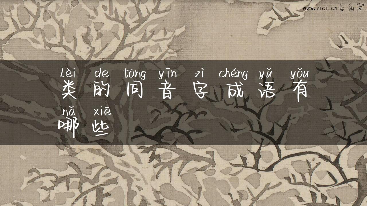 类的同音字成语有哪些