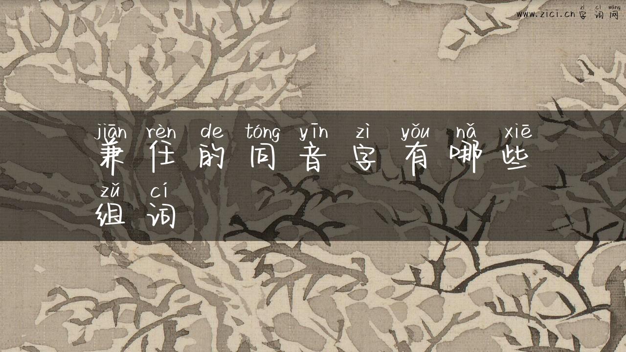 兼任的同音字有哪些组词