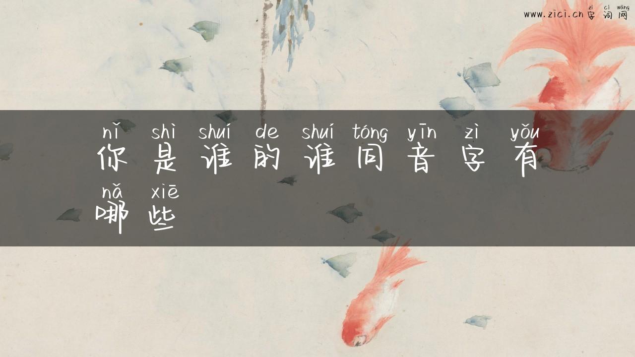 你是谁的谁同音字有哪些