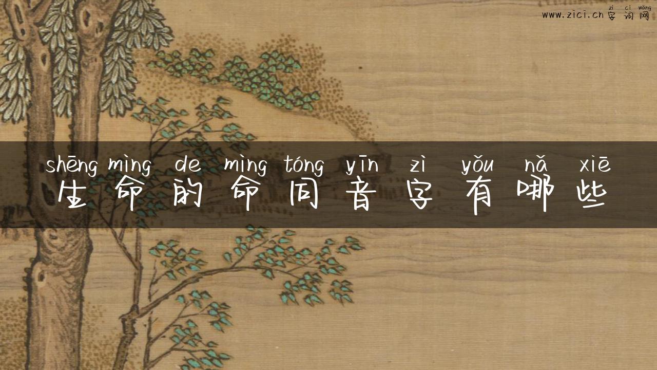 生命的命同音字有哪些