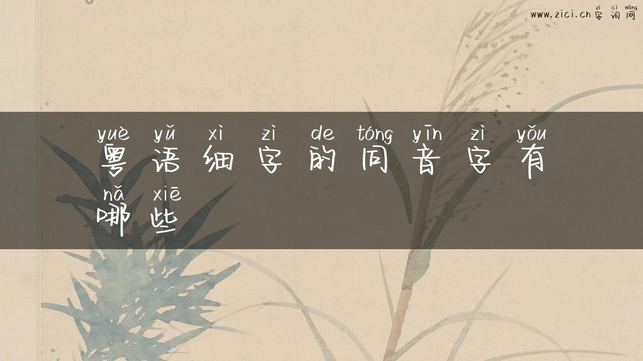 粤语细字的同音字有哪些