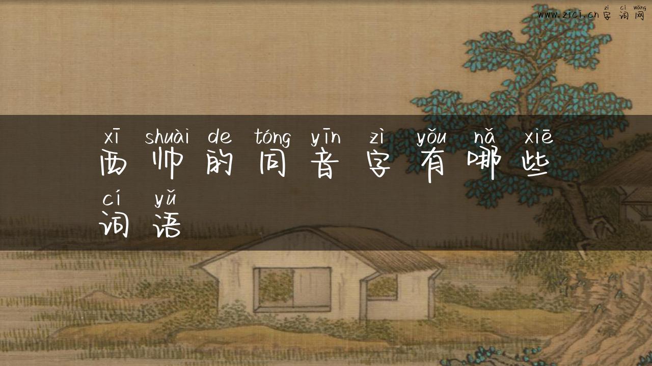 西帅的同音字有哪些词语