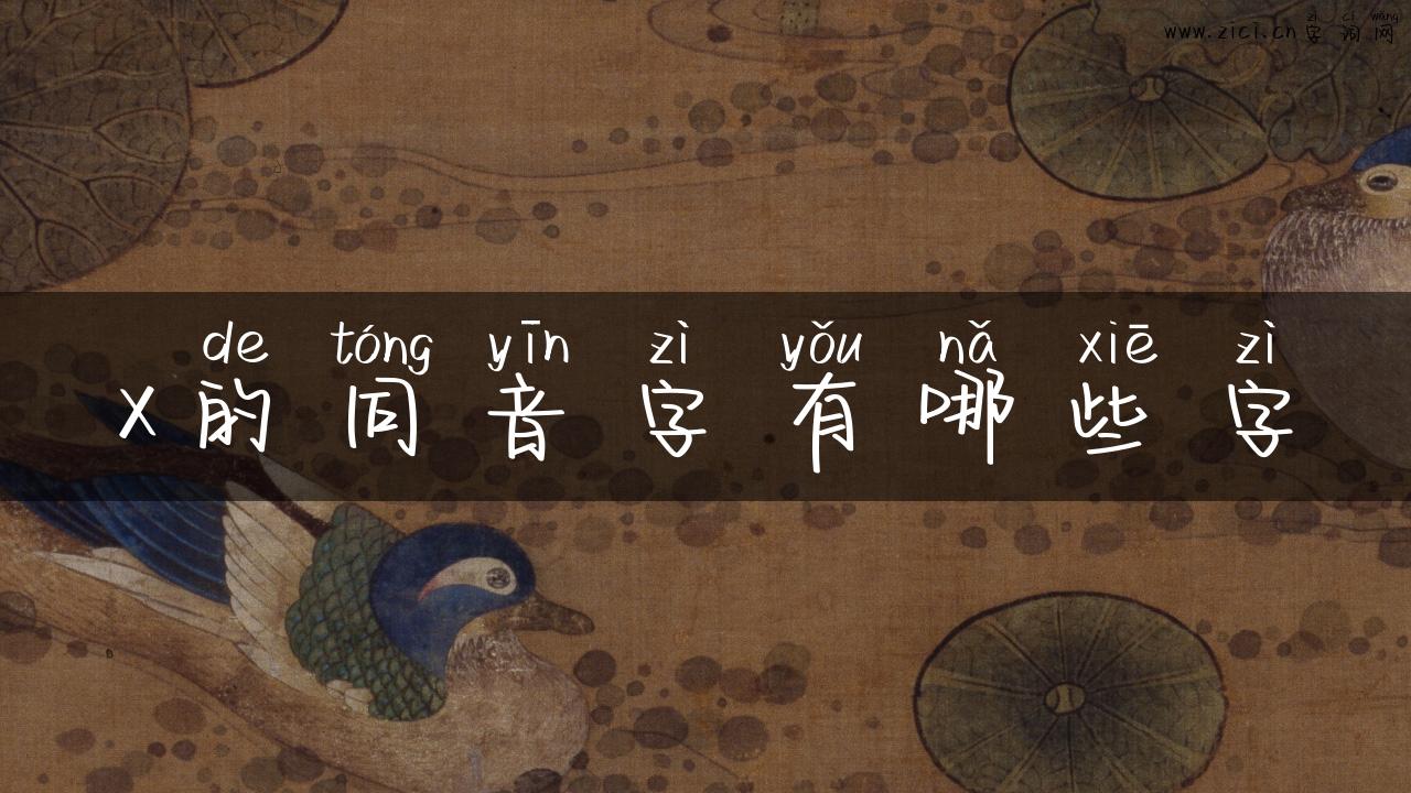 x的同音字有哪些字