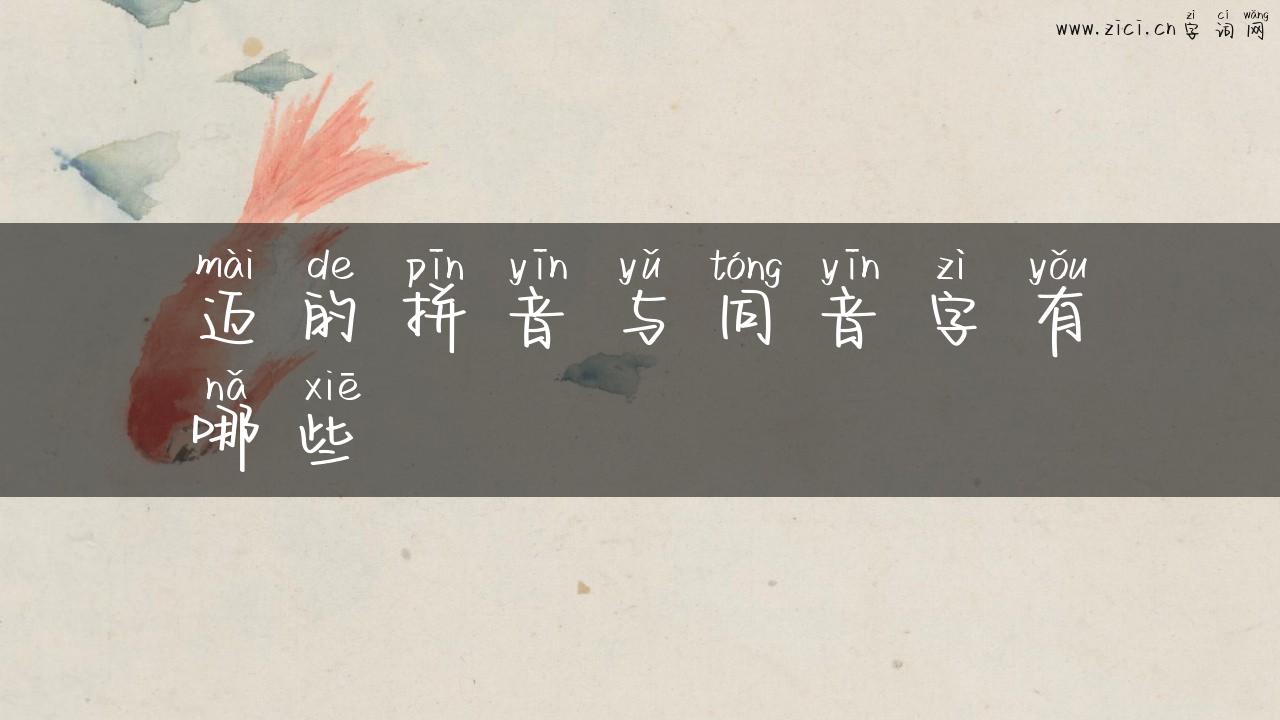 迈的拼音与同音字有哪些