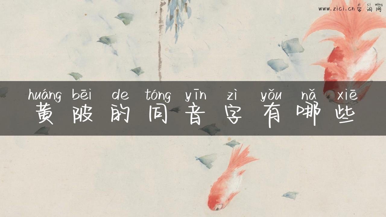 黄陂的同音字有哪些