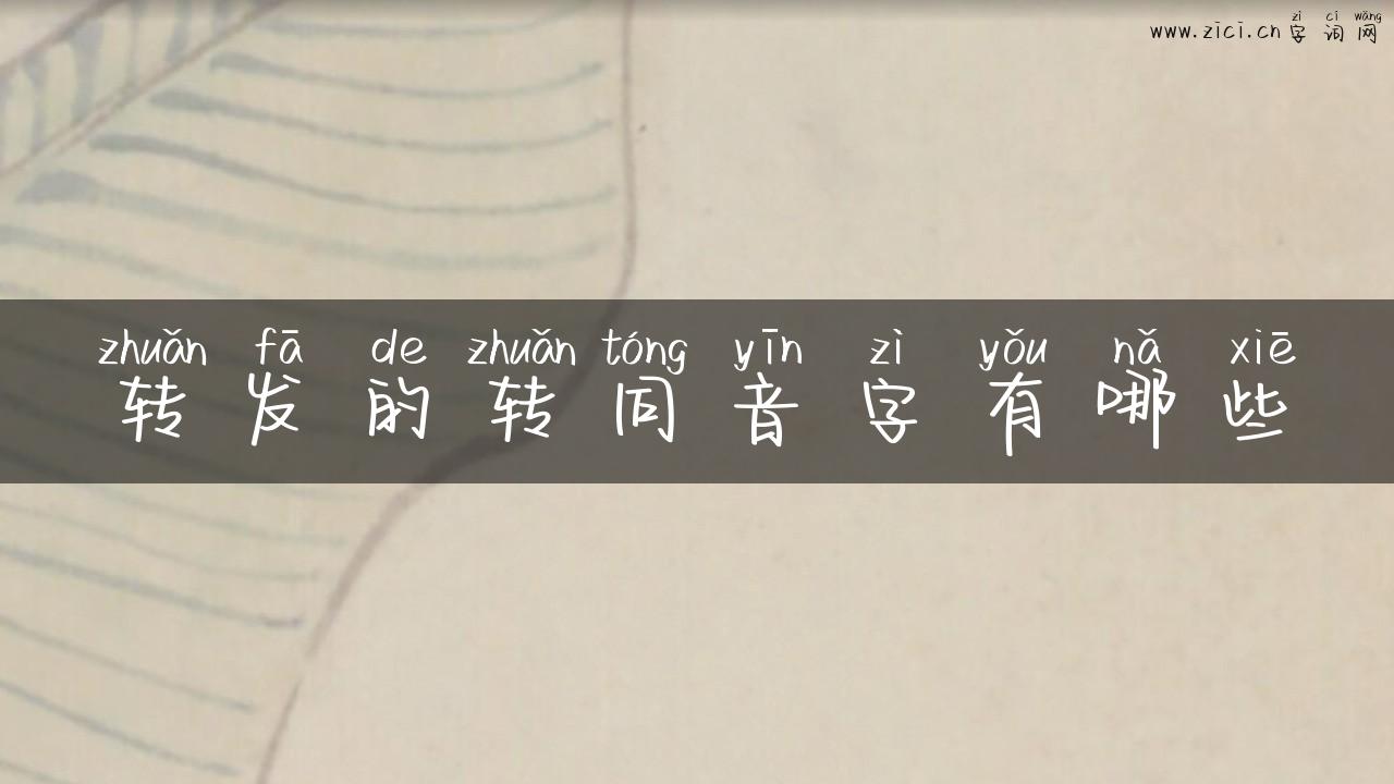 转发的转同音字有哪些