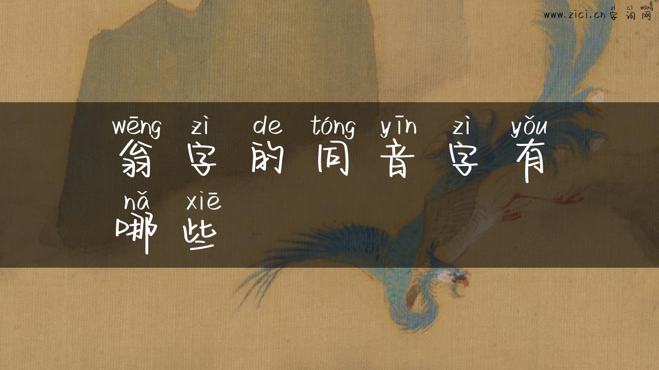翁字的同音字有哪些