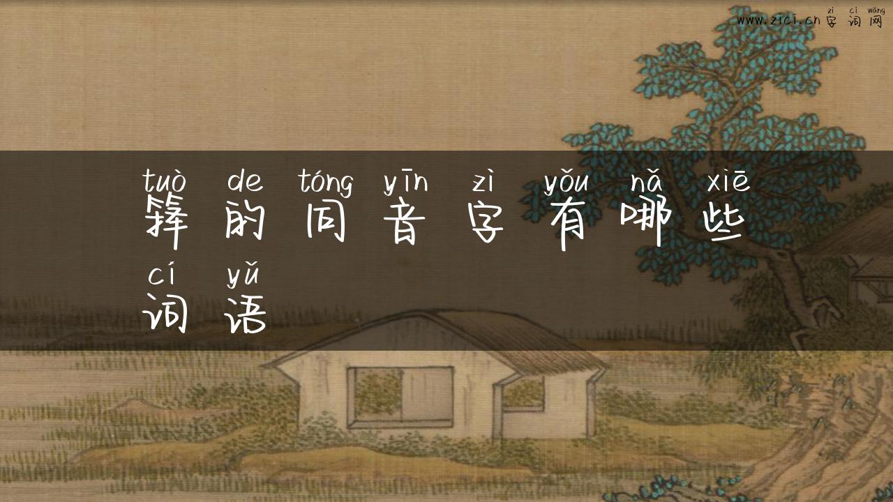 箨的同音字有哪些词语