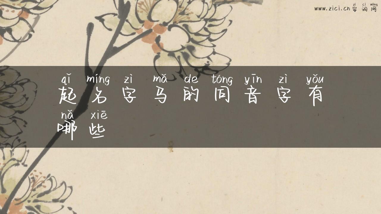 起名字马的同音字有哪些