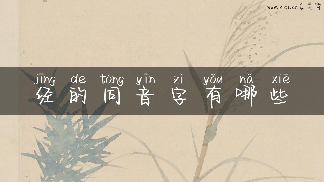 经的同音字有哪些