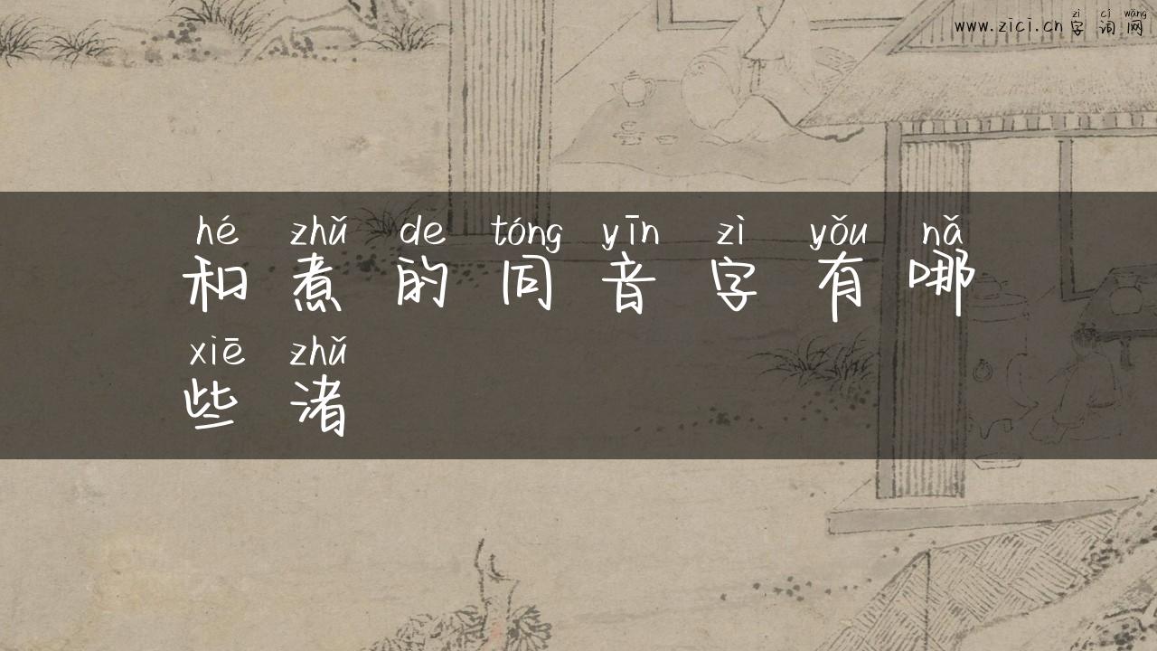 和煮的同音字有哪些渚