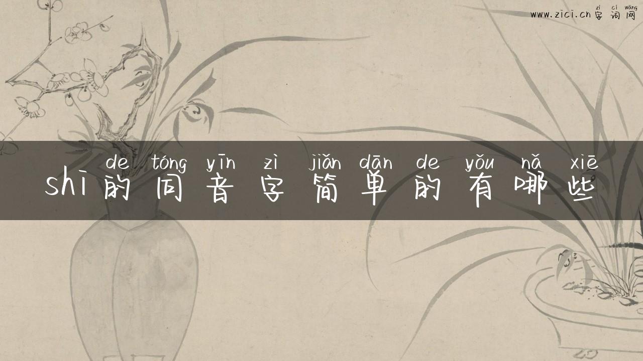 shi的同音字简单的有哪些