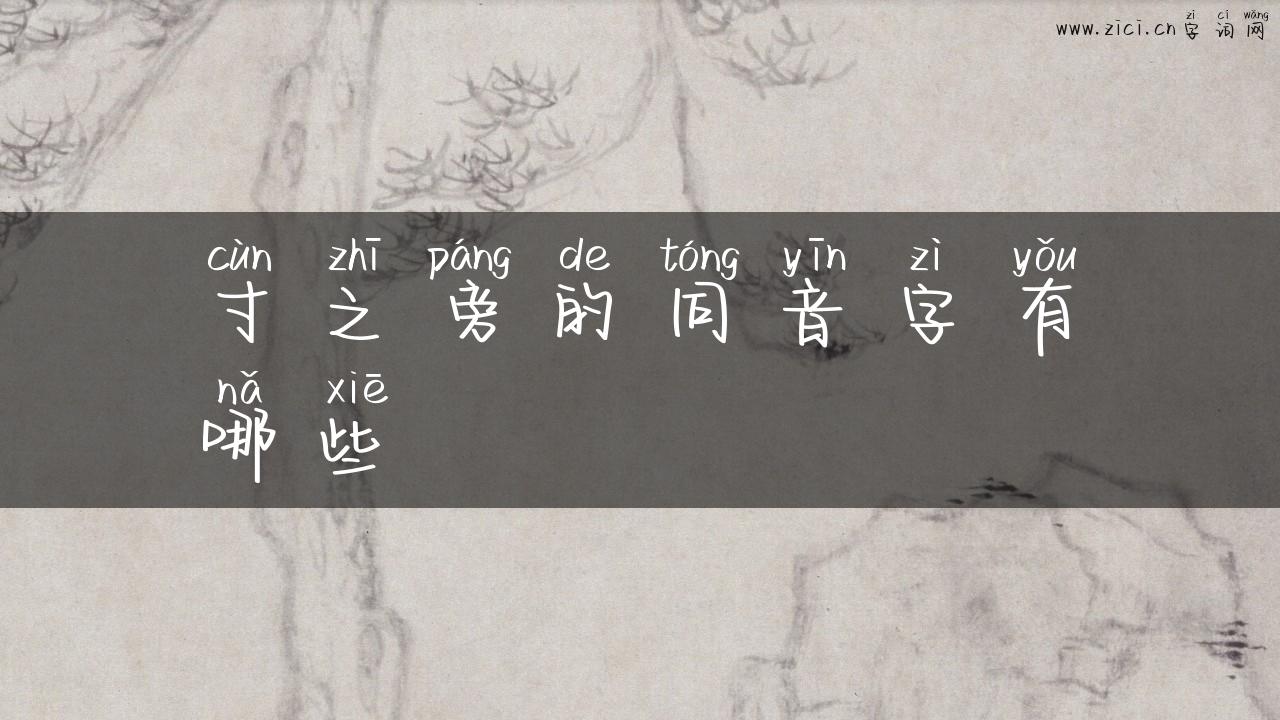 寸之旁的同音字有哪些