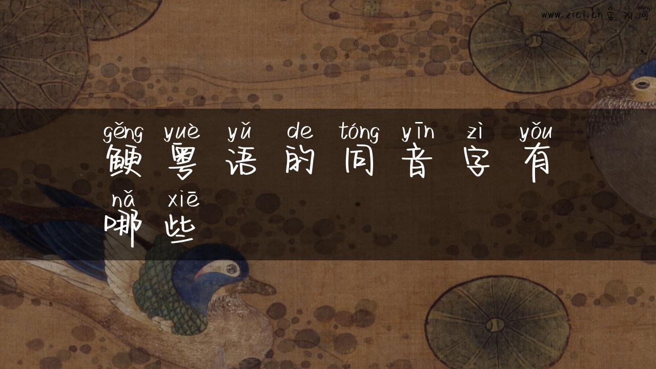 鲠粤语的同音字有哪些