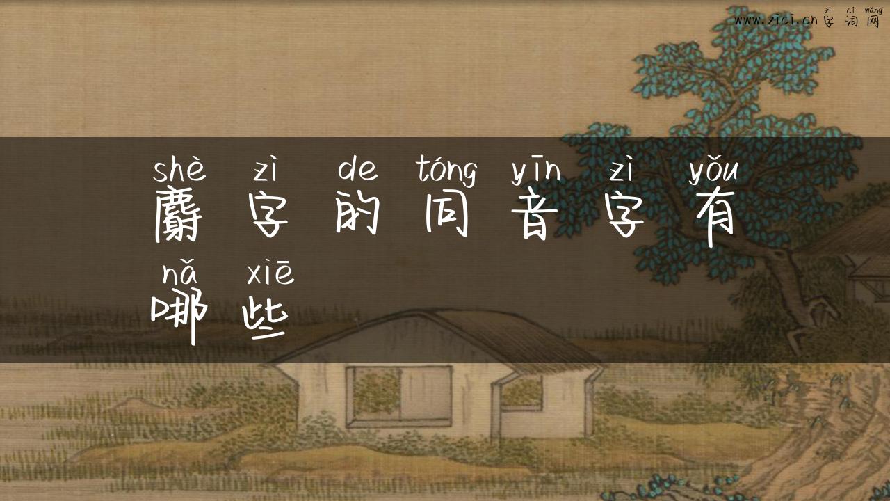 麝字的同音字有哪些
