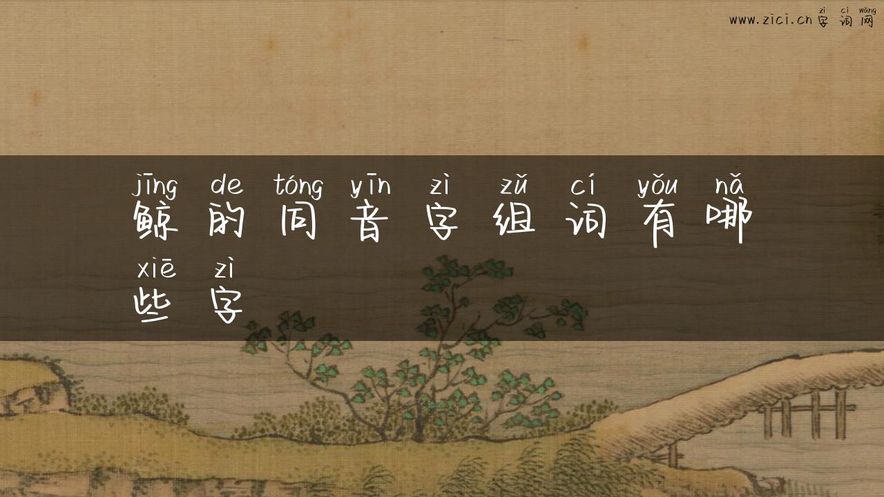 鲸的同音字组词有哪些字