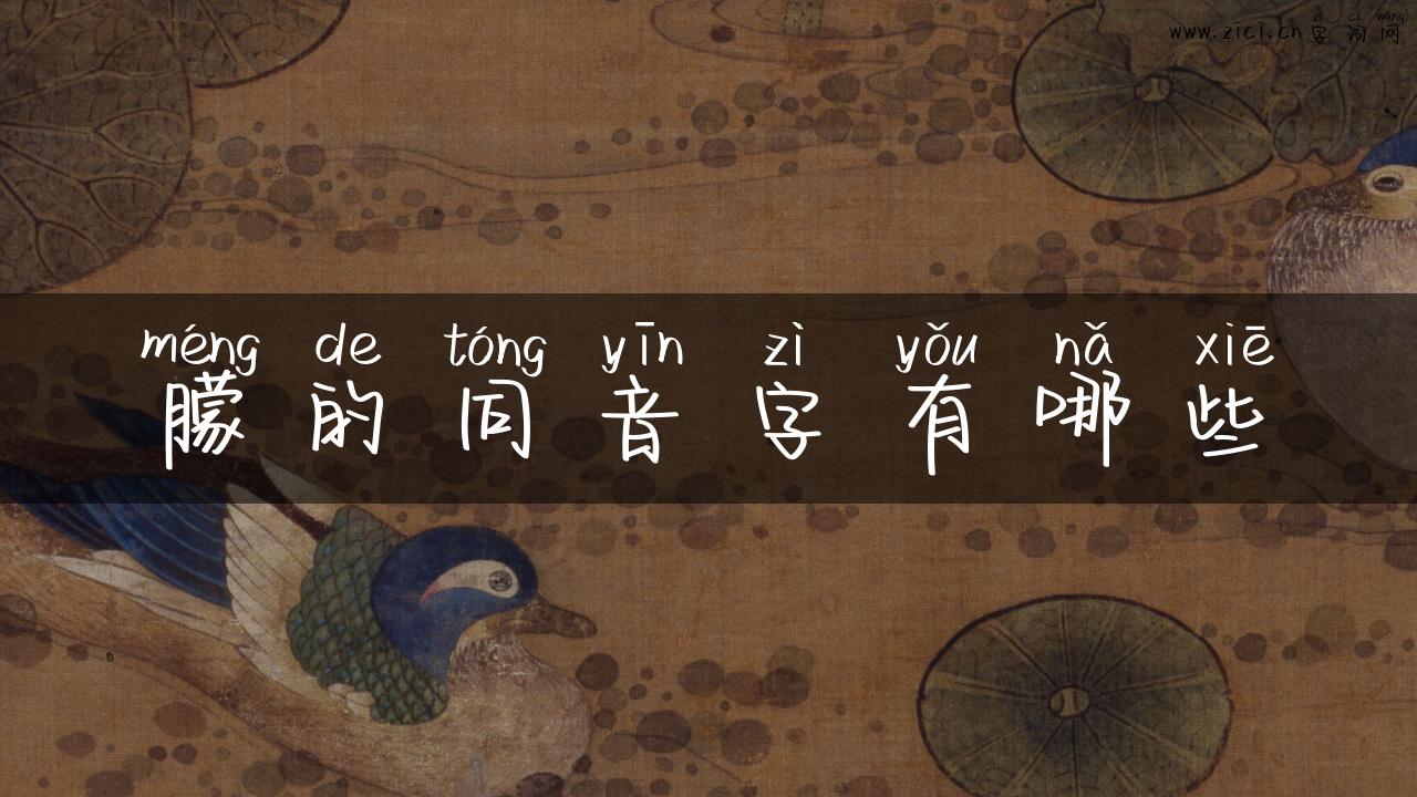 朦的同音字有哪些