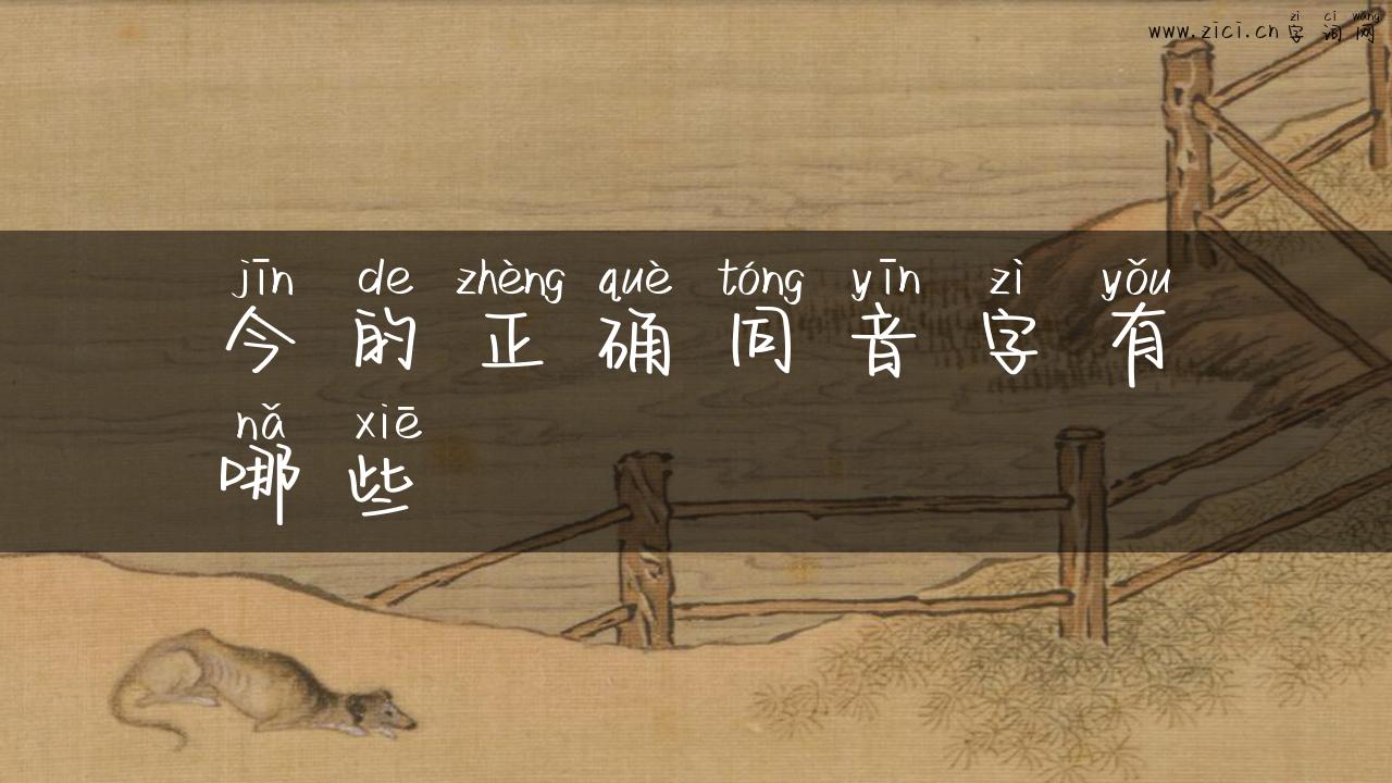 今的正确同音字有哪些