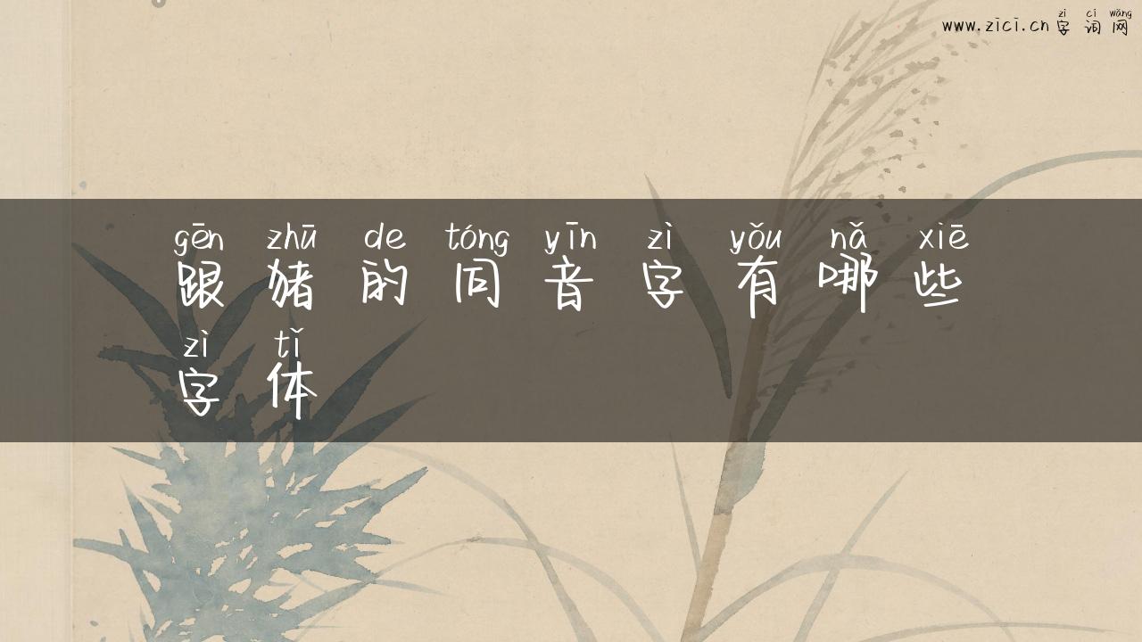 跟猪的同音字有哪些字体