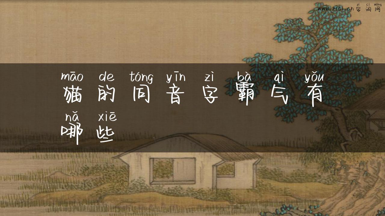 猫的同音字霸气有哪些
