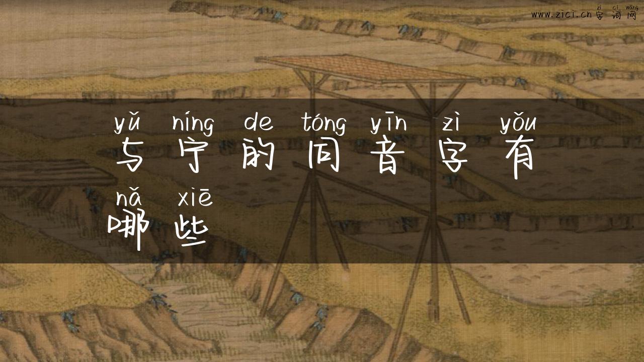 与宁的同音字有哪些