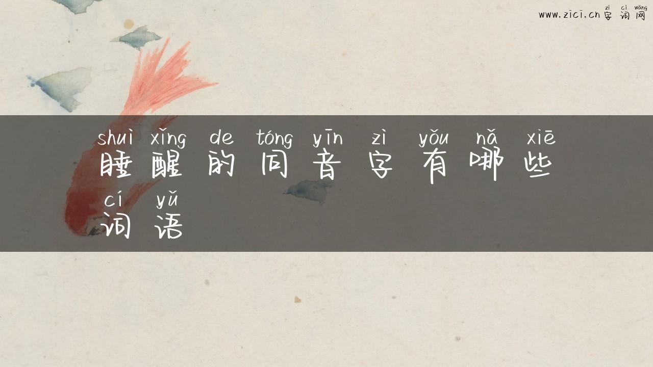 睡醒的同音字有哪些词语