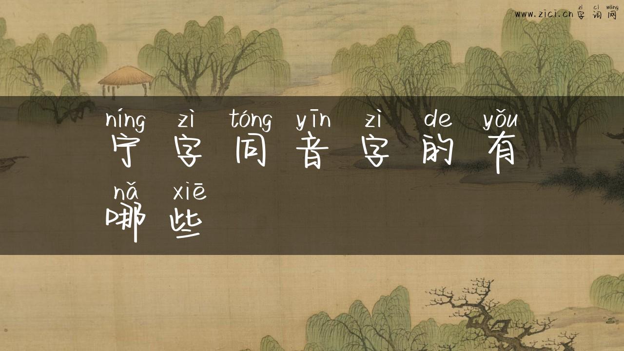 宁字同音字的有哪些