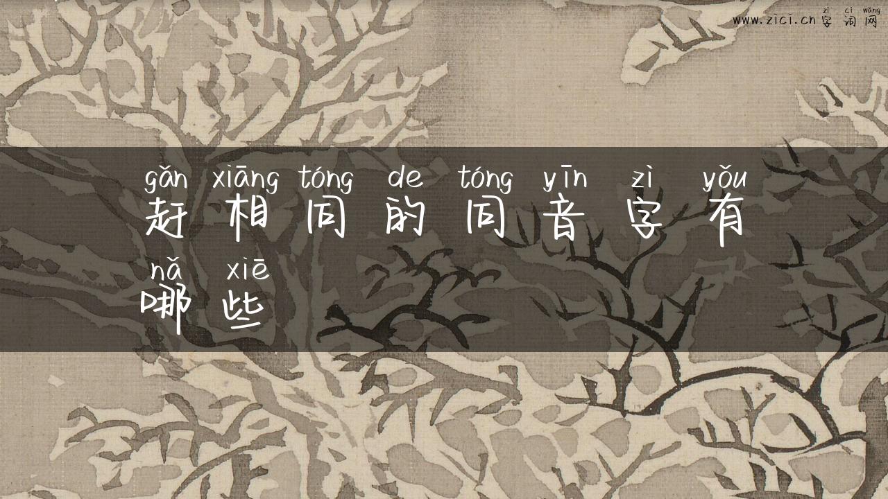 赶相同的同音字有哪些