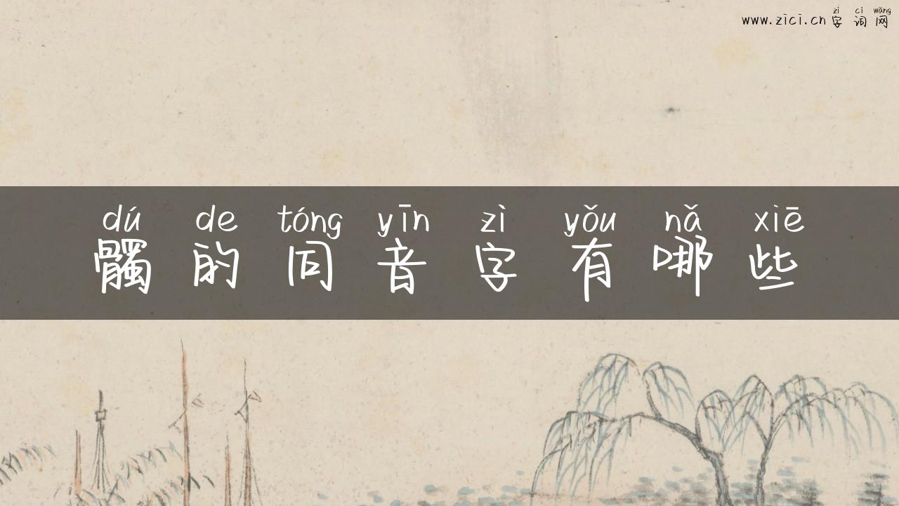 髑的同音字有哪些