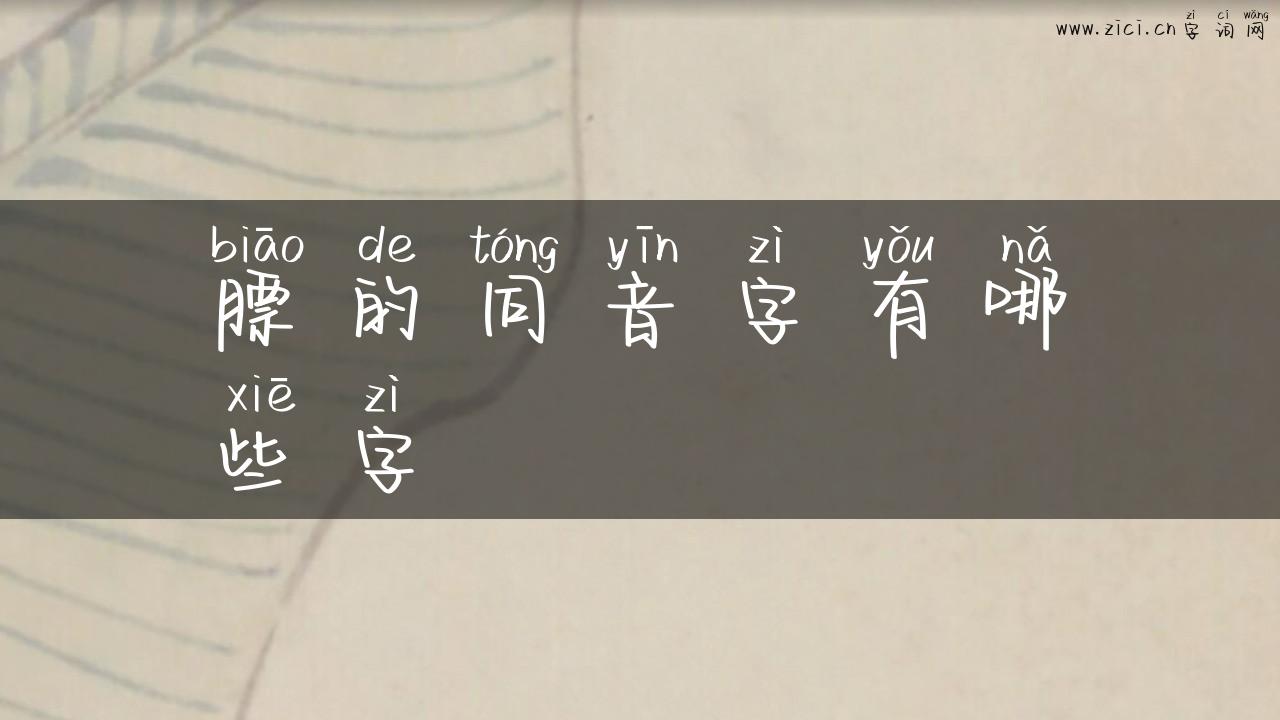 膘的同音字有哪些字