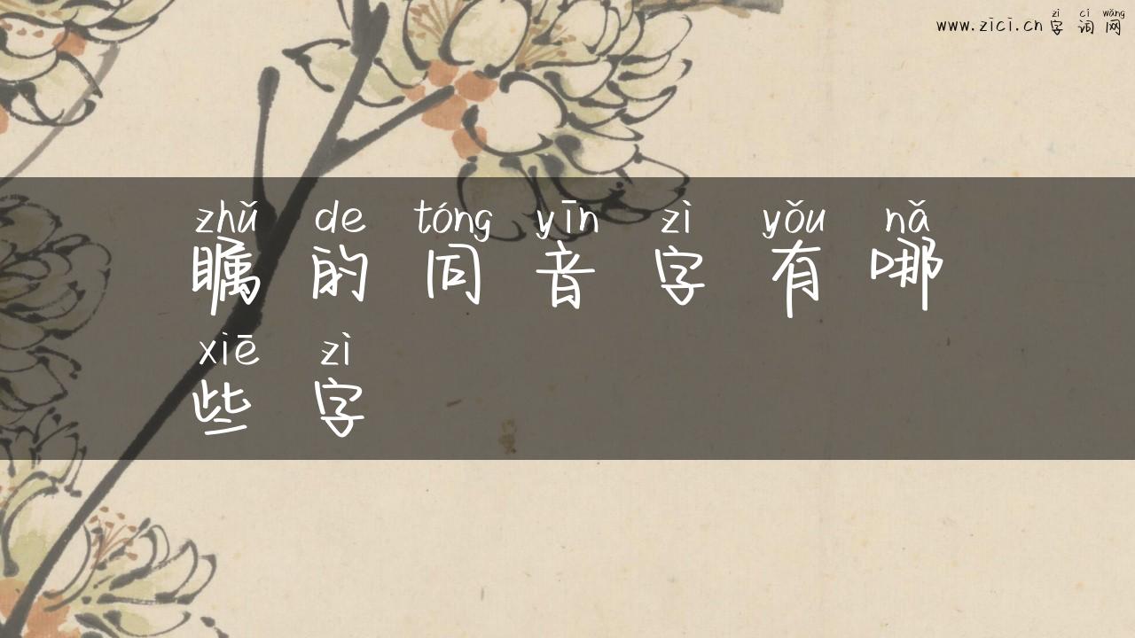 瞩的同音字有哪些字