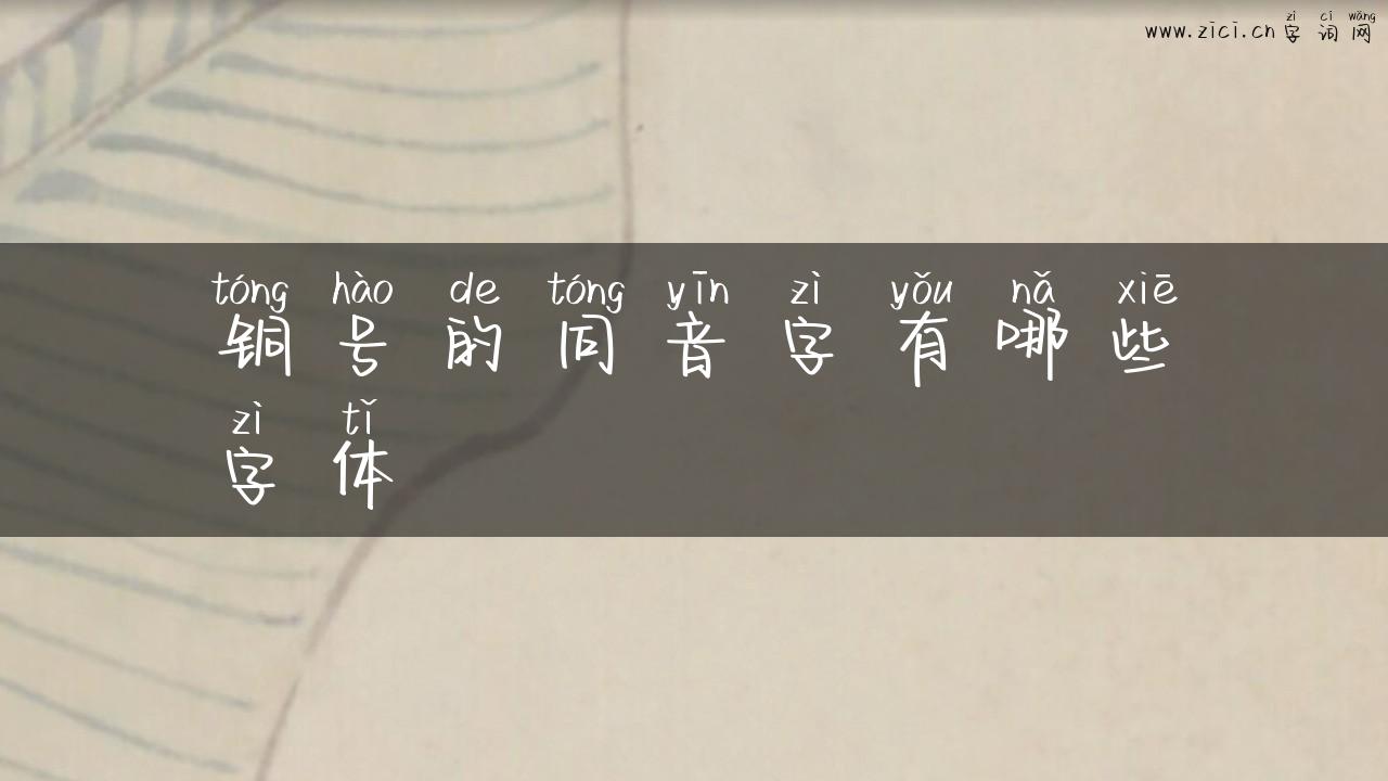 铜号的同音字有哪些字体